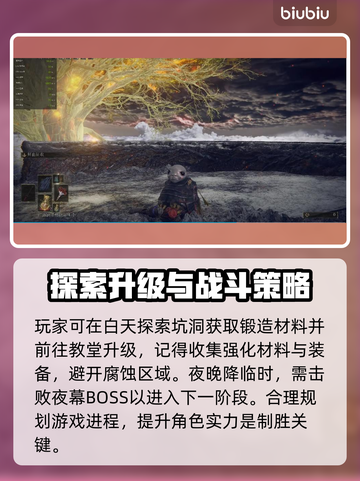 艾尔登法环🔥雾中裂缝完成攻略✨黑夜君临必看！截图2