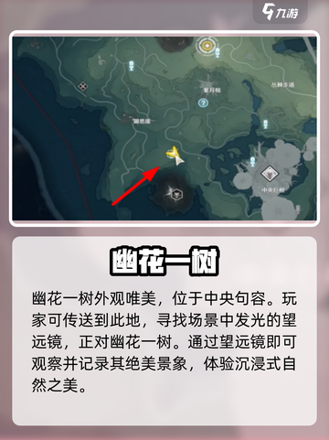 📸鸣潮幽花一树拍照点曝光！🌸截图2