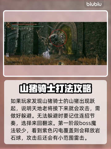 艾尔登法环黑夜君临偏地老将打法🔥一招制胜！截图2