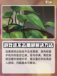 倾听画语为什么进不去介绍截图2