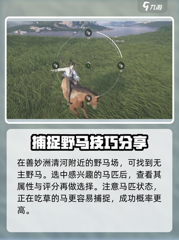 燕云十六声怎么抓马介绍截图2