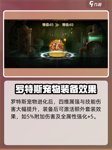 地下城与勇士手游🔥罗特斯宠物吞噬进化终极攻略来啦！截图4