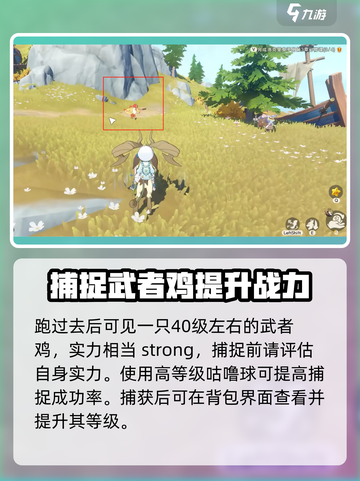 洛克王国世界武者鸡怎么捕获介绍截图3