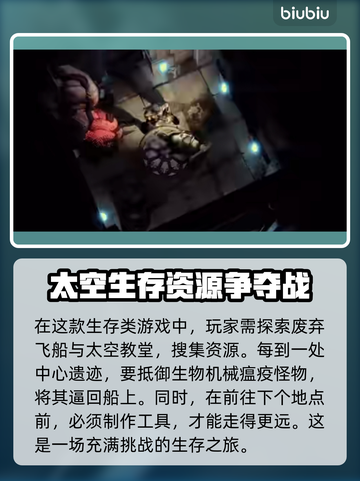 VoidMartyrs加速器推荐💥游戏党必看！🚀截图2