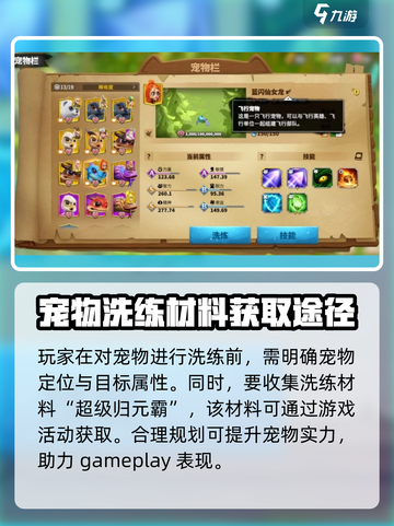 万龙觉醒🔥宠物洗练终极攻略⚠注意事项全揭秘！截图2