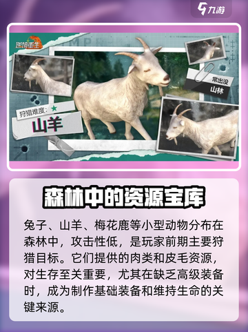 逆境重生：动物王者大作战🔥🎮截图3