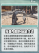 燕云十六声有趣玩法有哪些介绍截图6