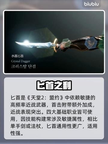 🔥天堂2匕首刺客秒杀神技💥截图2