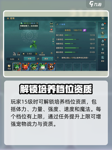 魔力宝贝复兴版🔥宠物系统玩法大揭秘！💎截图3