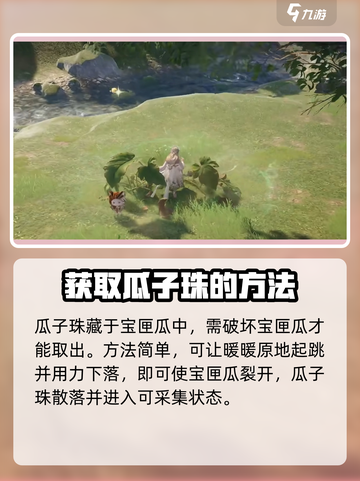 无限暖暖瓜子珠收集方法介绍截图2