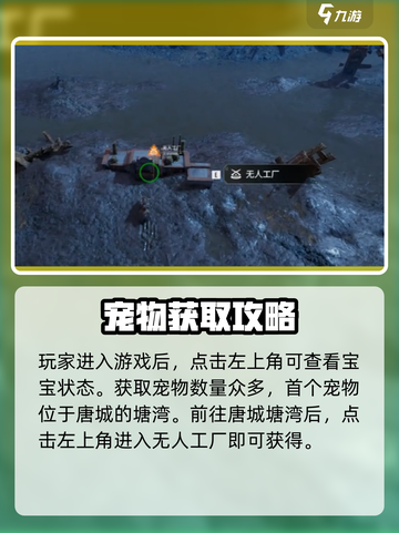破碎之地宠物在哪介绍截图2