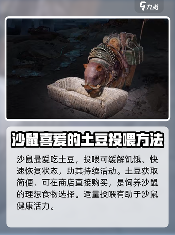 破碎之地🔥坐骑食物获取秘籍✨玩家必看！截图3