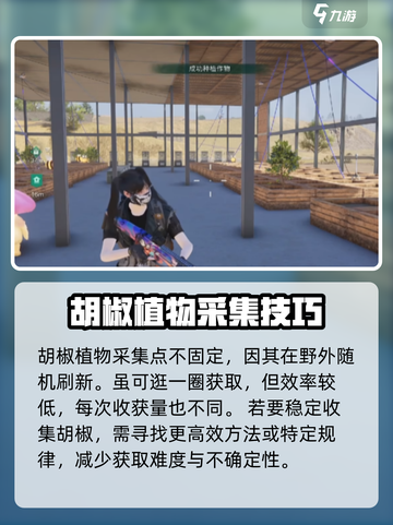 七日世界胡椒采集点在哪介绍截图2