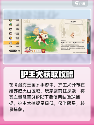 洛克王国手游护主犬怎么得介绍截图2