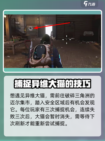 七日世界🔥异维大猫收容秘籍🐱游戏玩家必看！截图2