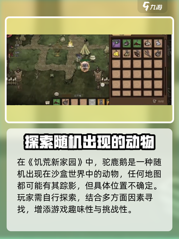 饥荒新家园🔥驼鹿鹅在哪？打法攻略⚡截图2