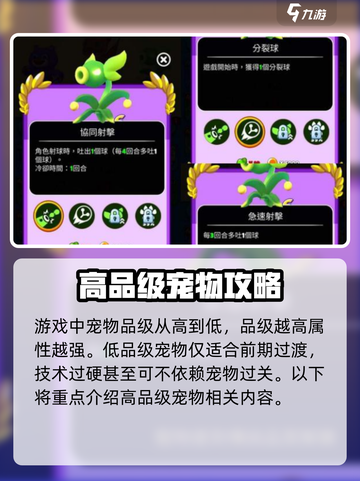 砰砰法师哪个宠物厉害介绍截图2