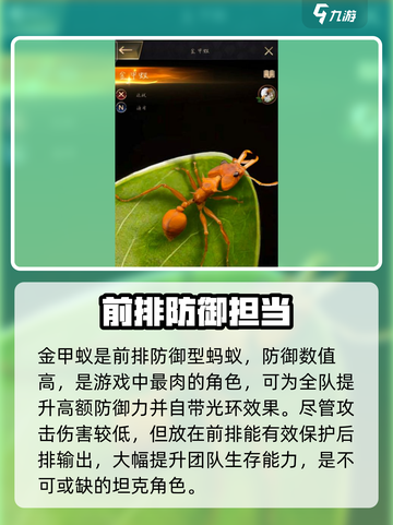 小小蚁国金蚂蚁组合推荐介绍截图4