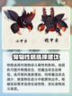 洛克王国世界铠甲虫🔥玩法大揭秘🎉截图3