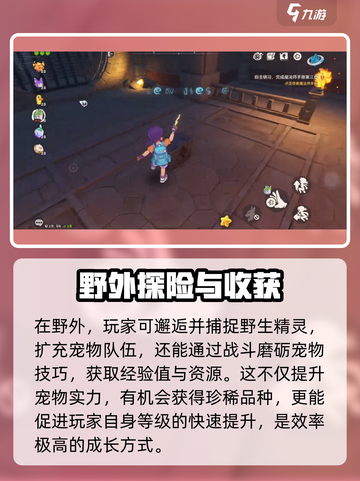 洛克王国世界12级怎么升级介绍截图6