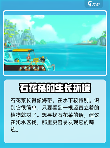 潜水员戴夫🔥石花菜获取秘籍🌊截图3