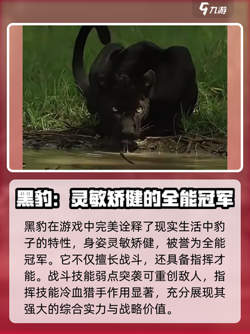 野兽领主新世界黑豹怎么样介绍截图2
