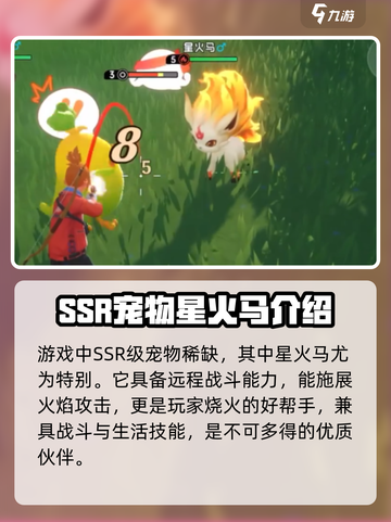 酷比大陆ssr宠物有哪些介绍截图2