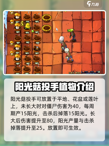植物大战僵尸：阳光菇投手🔥超强攻略来啦！截图2