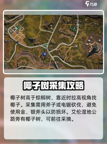 七日世界椰子在哪介绍截图3