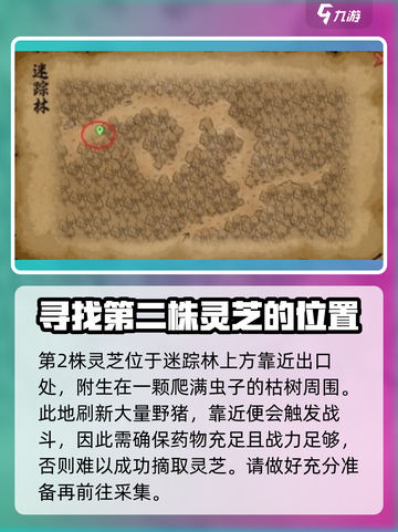 大侠立志传🔥迷踪林灵芝位置全解密！截图3