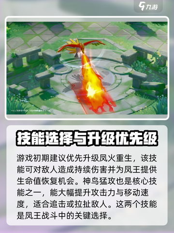 宝可梦大集结🔥凤王强度分析来了！⚡截图3