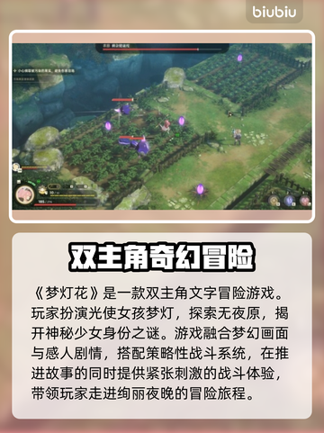 梦灯花多少钱？《梦灯花》发售价格🔥💥截图3