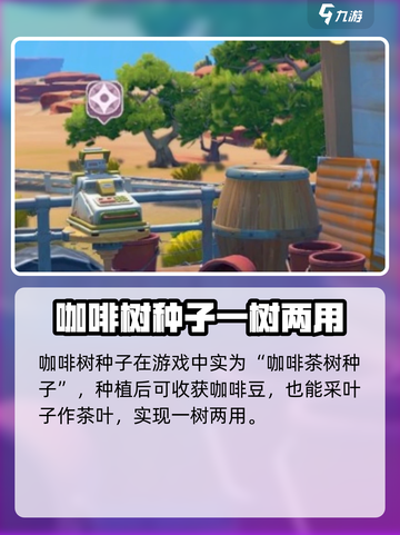 沙石镇时光💥咖啡树种子获取方法与收获时间☕截图2