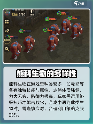魔力宝贝复兴熊科是什么介绍截图2