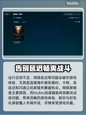 TheBornless加速器哪款好？玩游戏不卡必备神器！🎮🔥截图2