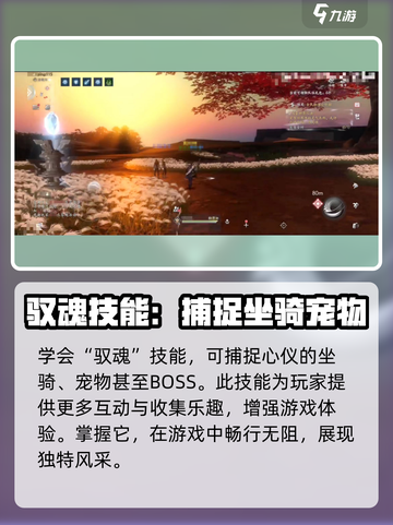 魂手游生活技能有哪些介绍截图4
