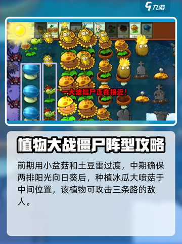 植物大战僵尸杂交版第6关打法分享💥游戏技巧大公开！🎉截图4
