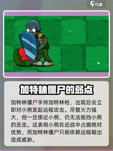植物大战僵尸抽卡版小熊🔥超全介绍来啦！截图7