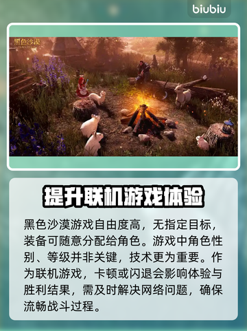 黑色沙漠🔥加速器推荐，玩手游必看！截图2