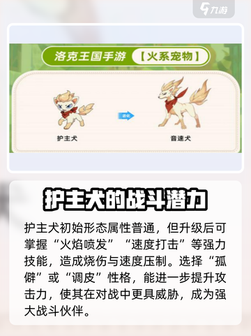 洛克王国手游护主犬介绍介绍截图2