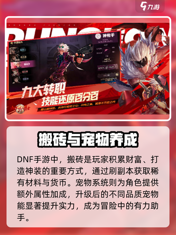 dnf手游体验服资格申请入口介绍截图4