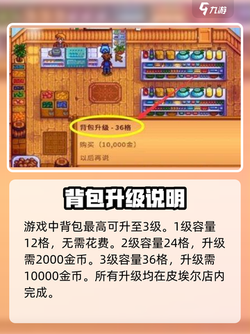 星露谷物语背包怎么扩大介绍截图3