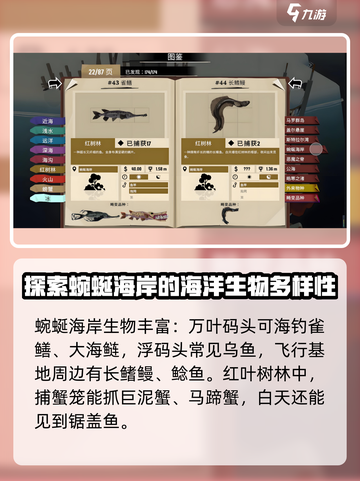 渔帆暗涌蜿蜒海岸🔥手游攻略秘籍🎉截图3