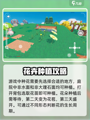 泡泡先锋种花攻略💥，新手必看🌸截图3