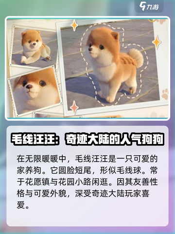 无限暖暖狗狗在哪介绍截图2