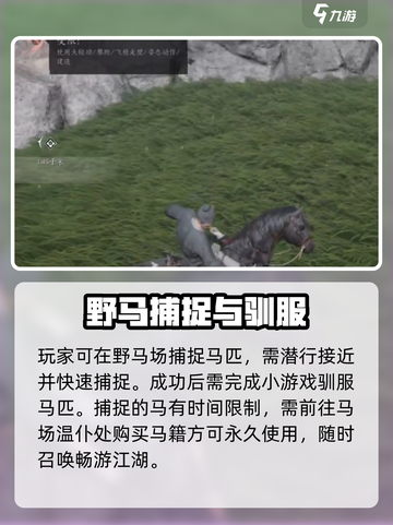 《燕云十六声》坐骑大全🔥超全坐骑汇总！🐎截图2