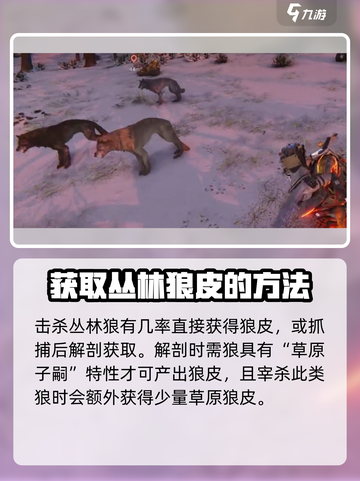 七日世界丛林狼皮怎么获得介绍截图4