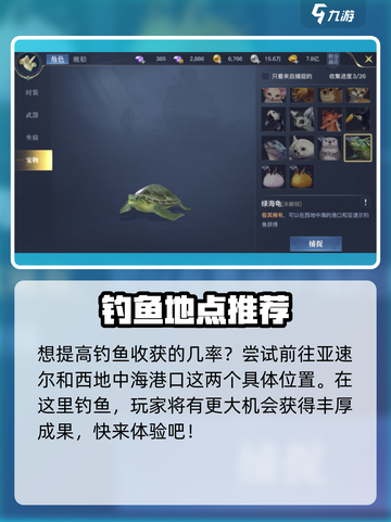 黎明之海🔥绿海龟宠物获取方式大揭秘！快来看✔截图3
