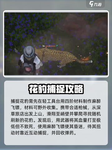 七日世界🔥S级动物大揭秘！玩家必看📖截图2