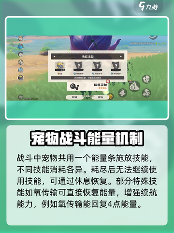 洛克王国世界团体战怎么玩介绍截图3